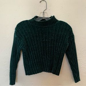 Velvet Cropped Turtle Neck